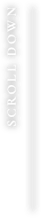 SCROLL DOWN